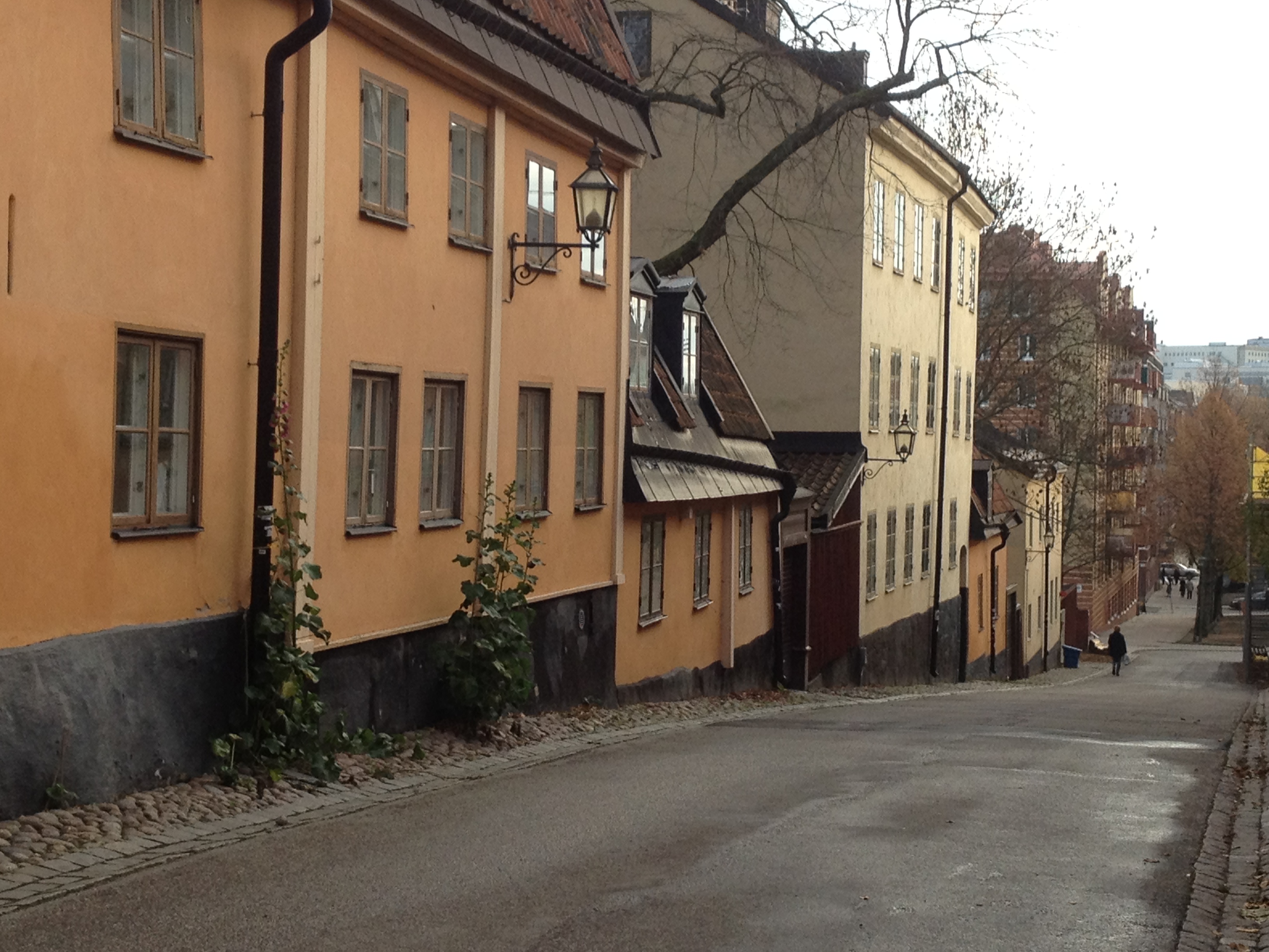 Bildbeskrivning
